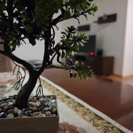 Bee Apartment